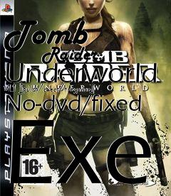 Box art for Tomb
            Raider: Underworld V1.1 [polish/czech/hungarian] No-dvd/fixed Exe