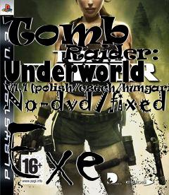 Box art for Tomb
            Raider: Underworld V1.1 [polish/czech/hungarian] No-dvd/fixed Exe