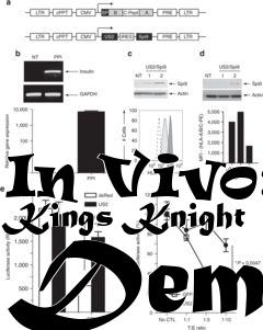 Box art for In Vivo: Kings Knight Demo