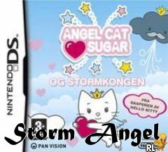 Box art for Storm Angel 