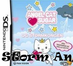 Box art for Storm Angel 