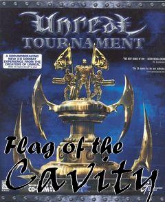 Box art for Flag of the Cavity