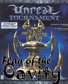 Box art for Flag of the Cavity