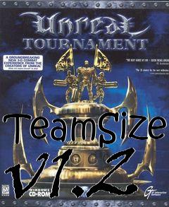 Box art for TeamSize v1.2