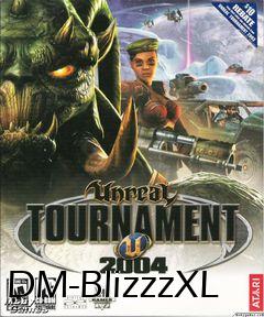 Box art for DM-BlizzzXL