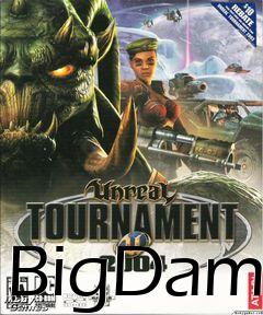 Box art for BigDam