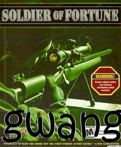 Box art for gwang