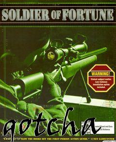 Box art for gotcha