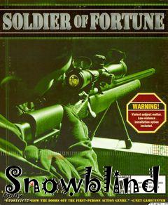 Box art for Snowblind