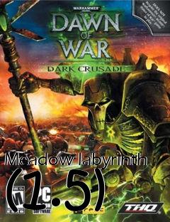 Box art for Meadow labyrinth (1.5)