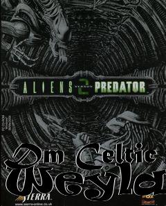 Box art for Dm Celtic Weyland