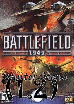Box art for Winter Storm (1.2)