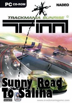 Box art for Sunny Road To Salina