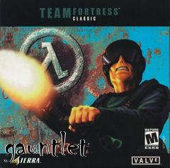 Box art for gauntlet