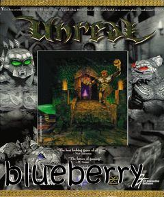 Box art for blueberry