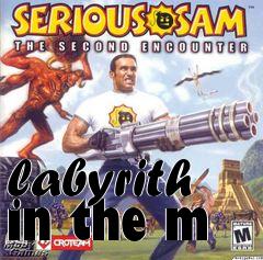 Box art for labyrith in the m