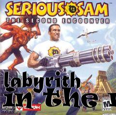 Box art for labyrith in the m