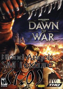 Box art for Blood Angels SM Texture (1.0)