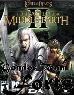 Box art for Gondor Team Forts