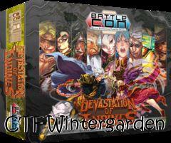 Box art for CTF-Wintergarden