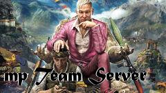 Box art for mp Team Server