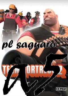 Box art for pl saguaro a5