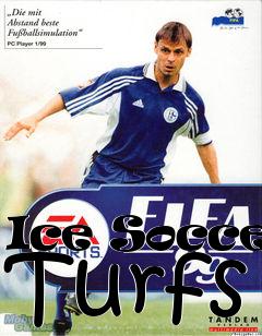 Box art for Ice Soccer Turfs