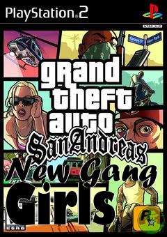 Box art for New Gang Girls