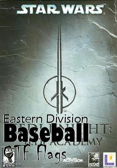 Box art for Eastern Division Baseball CTF Flags