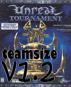 Box art for teamsize v1.2