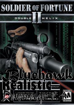 Box art for Bluehawk Realistic Damage 1.4