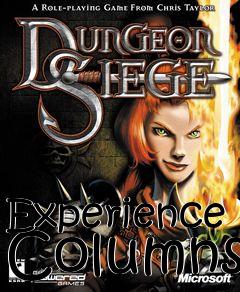 Box art for Experience Columns