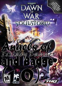 Box art for Angels of Ecstasy Banner and Badge (1.0)