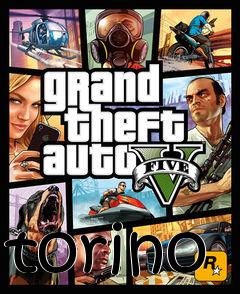 Box art for torino