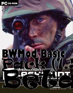 Box art for BWMod Basic Pack (1.5 Beta)