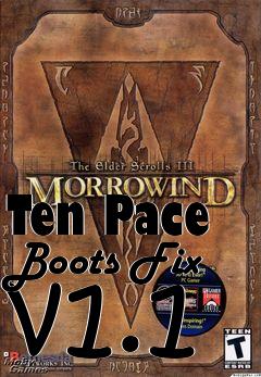 Box art for Ten Pace Boots Fix v1.1