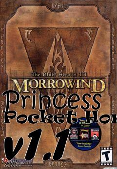 Box art for Princess Pocket Homes v1.1