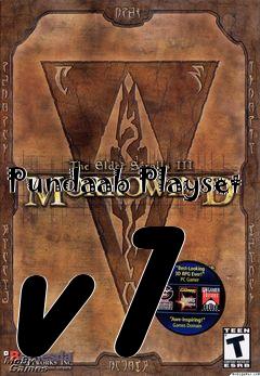 Box art for Pundaab Playset v1
