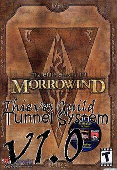 Box art for Thieves Guild Tunnel System v1.0