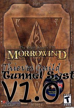 Box art for Thieves Guild Tunnel System v1.0