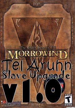 Box art for Tel Aruhn Slave Upgrade v1.0