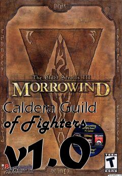 Box art for Caldera Guild of Fighters v1.0