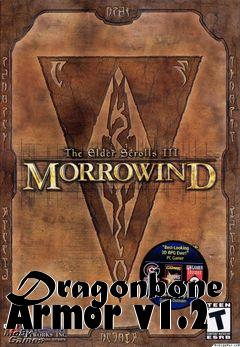 Box art for Dragonbone Armor v1.2