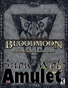 Box art for Snow Wolf Amulet