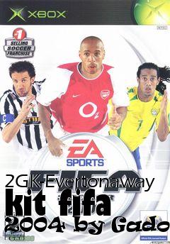 Box art for 2GK-Evertonaway kit fifa 2004 by Gadocar