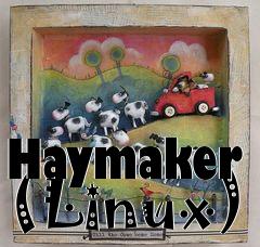 Box art for Haymaker (Linux)