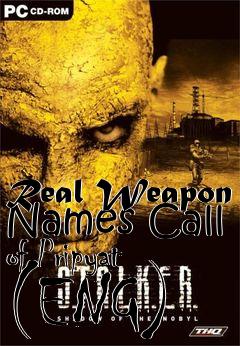 Box art for Real Weapon Names Call of Pripyat (ENG)