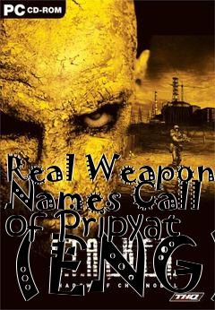 Box art for Real Weapon Names Call of Pripyat (ENG)