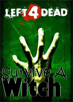 Box art for Survive A Witch