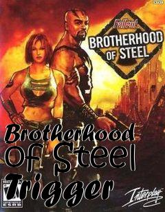 Box art for Brotherhood of Steel Trigger